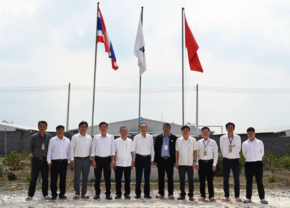 Bình Phước chú trọng phát triển chăn nuôi theo chuỗi giá trị